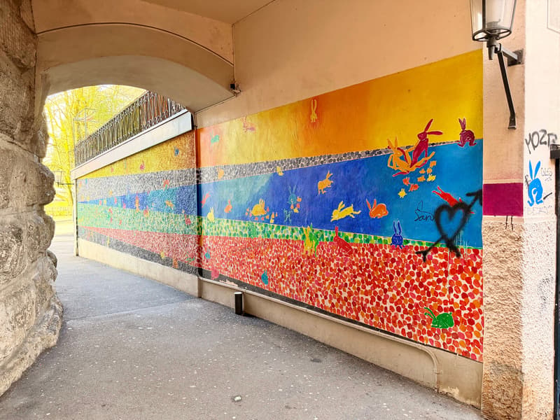 Cave voûtée dans la vieille ville de Solothurn (11)
