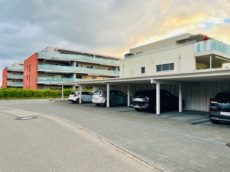 Location d'un parking carport (5)