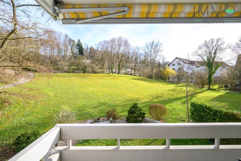 Grosszügige 4.5-Zimmer-Wohnung mit tollem Weitblick ins Grüne und guter Anbindung (10)