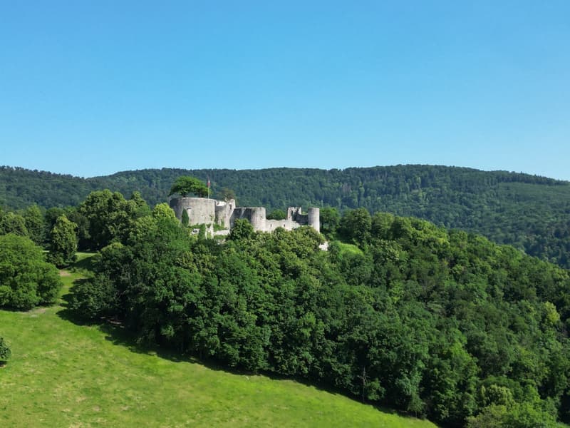 A medieval castle situated on a hilltop, surrounded by lush green forests and rolling hills. The castle has several towers and walls, and appears to be in a well-preserved state.