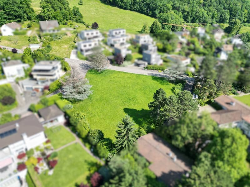 Large open green plot of land, surrounded by modern houses and greenery, with a road and pathway visible in the middle.
