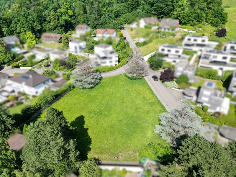 an aerial view of multiple houses in a neighborhood with green grass and trees