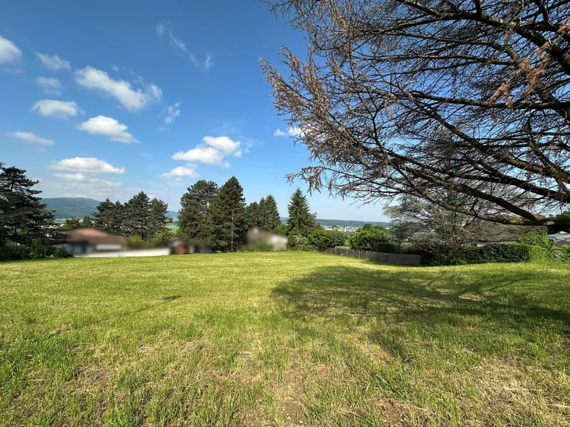 large open grassy field, trees on perimeter, houses in background, clear blue sky