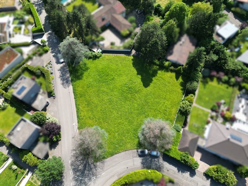 large open green field, driveway, several houses, trees