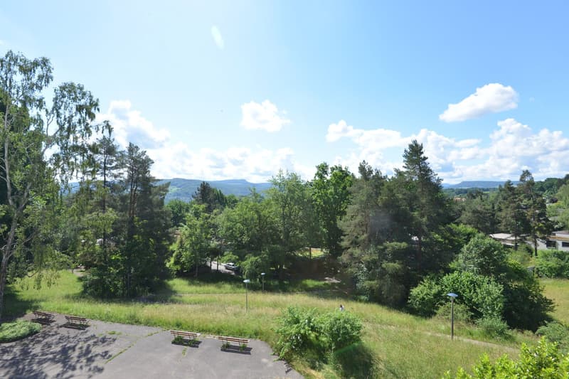 Aerial view of a park with benches, trees, and a road with a car, surrounded by mountains and a clear blue sky.