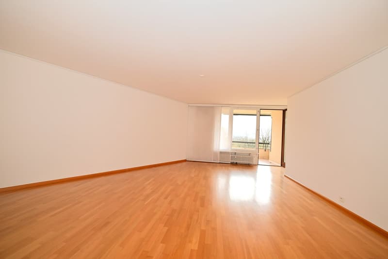 empty room, wooden floor, white walls, sliding glass door, balcony