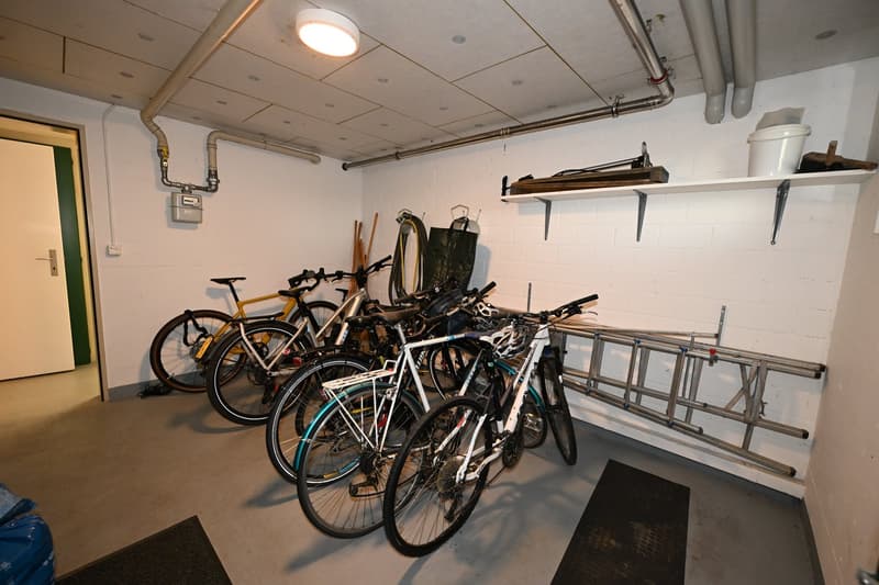 Grosszügige 5-Zimmer-Wohnung mit Garage an exklusiver Lage auf dem Bruderholz (17)