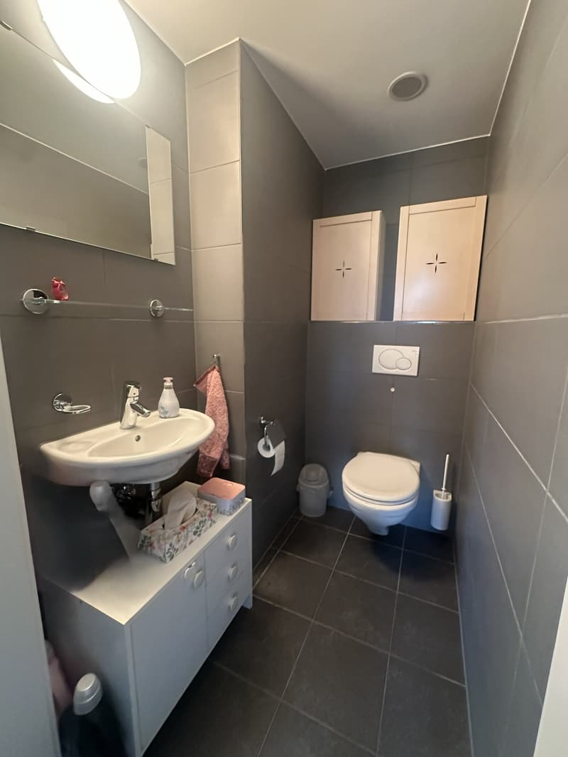 Modern wohnen auf zwei Etagen – attraktive Maisonettewohnung in Birsfelden (10)