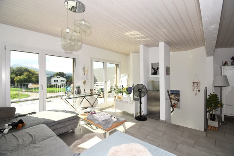 Modernes Doppel-Einfamilienhaus mit Weitblick und grosser Terrasse in Rodersdorf SO (1)