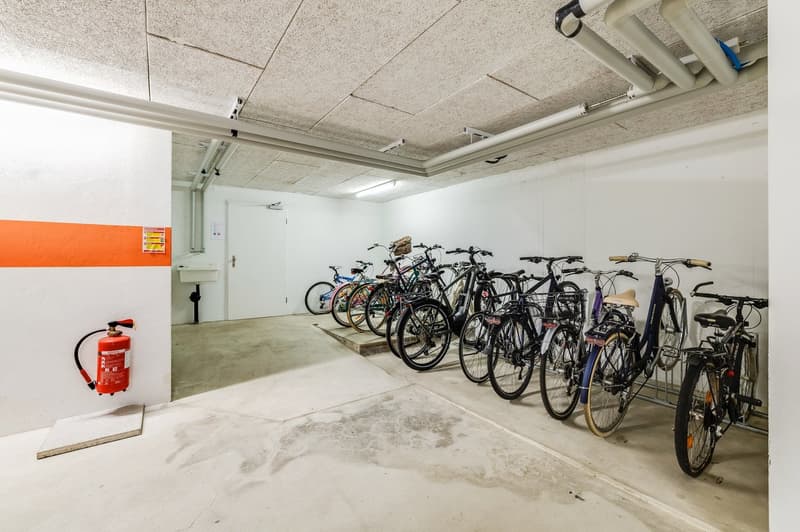 Exklusive 4,5-Zimmer-Wohnung mit direktem Liftzugang an bester Lage in Allschwil (22)