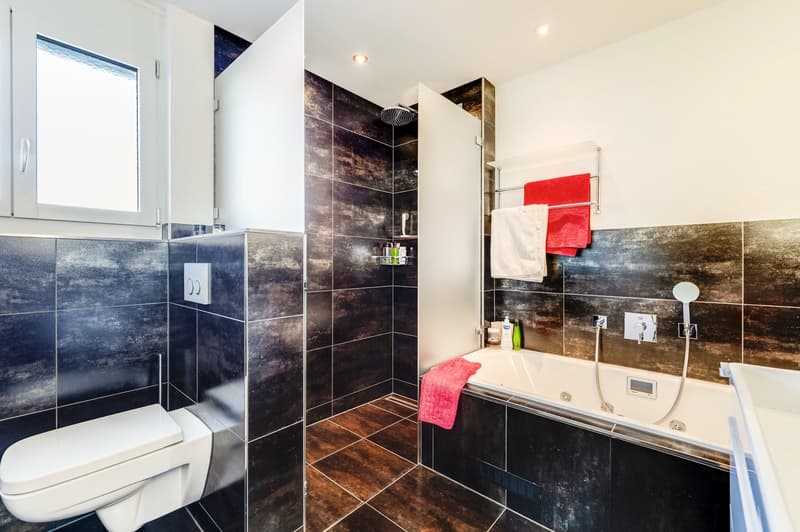 Exclusive 4.5-Room Apartment with Private Lift Access in a Prime Allschwil Location (16)