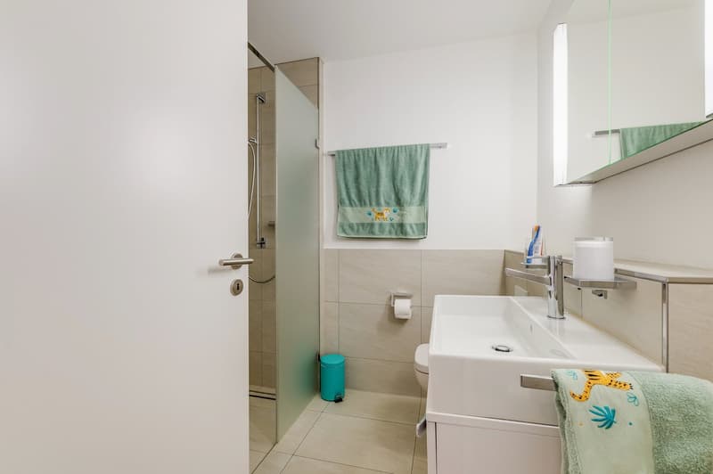 Exclusive 4.5-Room Apartment with Private Lift Access in a Prime Allschwil Location (17)