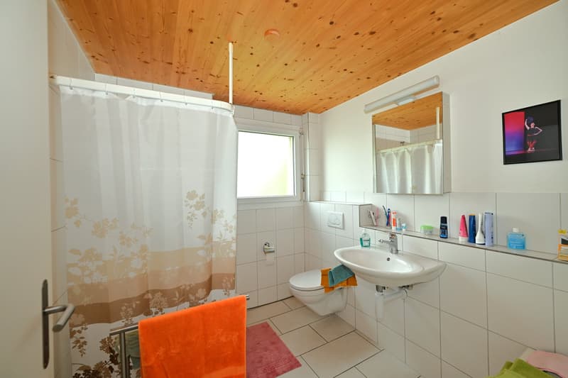 Attraktives Wohnhaus/Mehrgenerationenhaus an begehrter Wohnlage in Arlesheim (18)