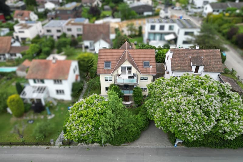 Attraktives Dreifamilienhaus/Mehrgenerationenhaus an begehrter Wohnlage in Arlesheim (2)