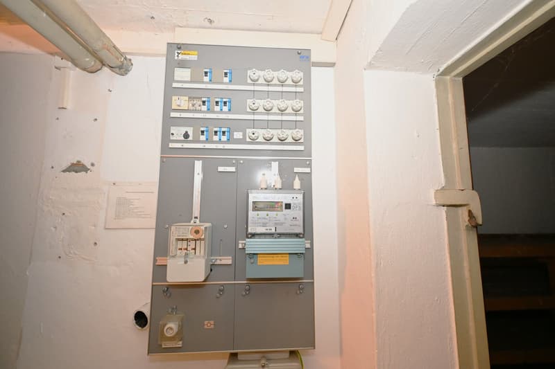 Grosszügiges Wohnhaus mit Bebauungspotential an begehrter Lage in Binningen (19)