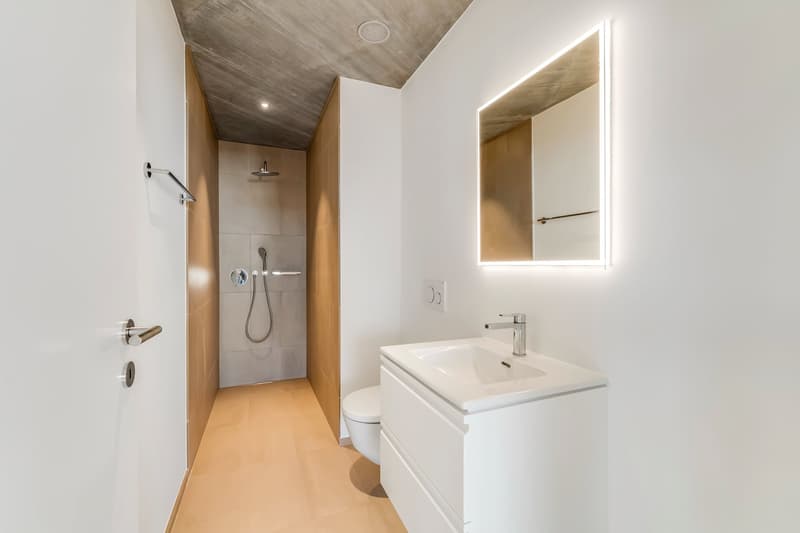 Moderne, hindernisfreie Dachwohnung mit zwei grosszügigen Terrassen (18)