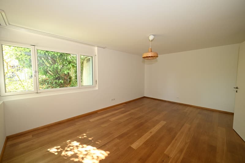 Modernes Terrassenhaus an ruhiger und zentraler Lage in Allschwil (19)