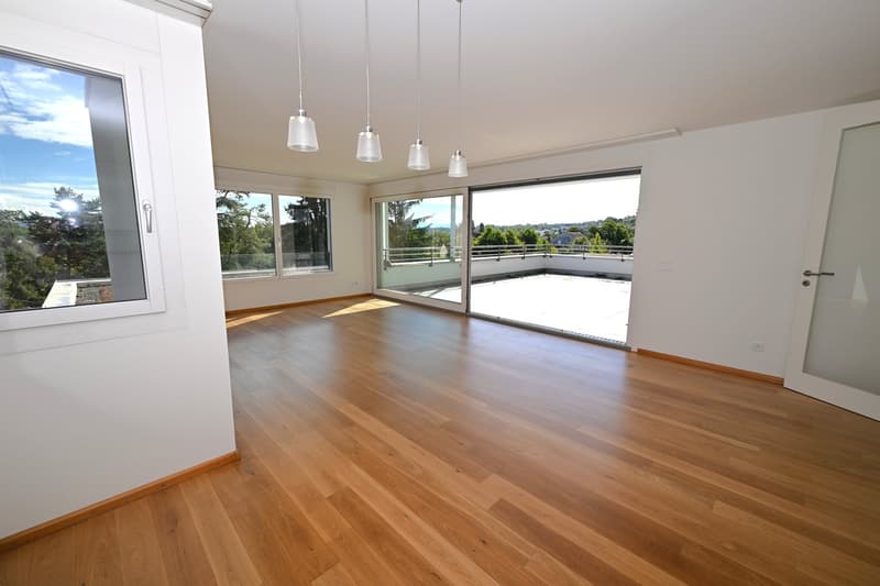 Modernes Terrassenhaus an ruhiger und zentraler Lage in Allschwil (3)