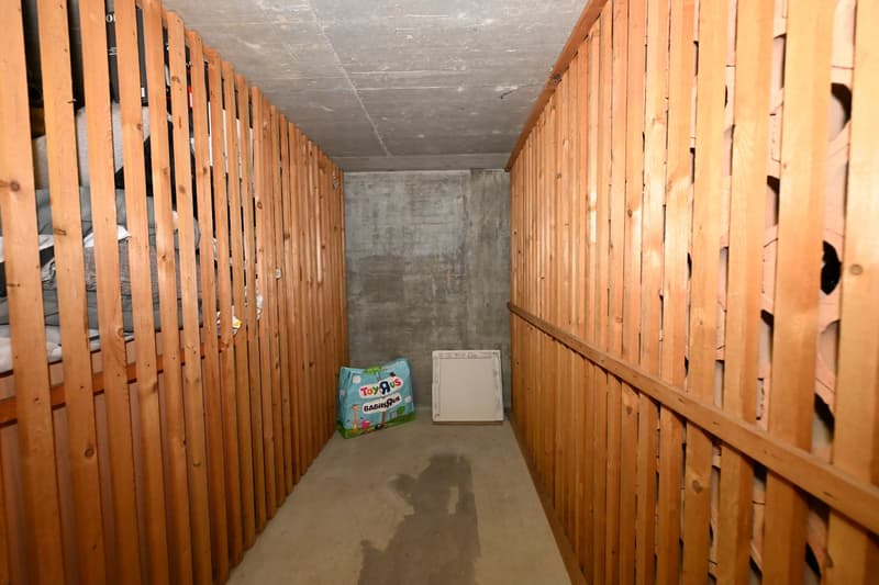 Grosszügige und ruhig gelegene 5-Zimmer-Wohnung mit Garage an exklusiver Lage auf dem Bruderholz (21)