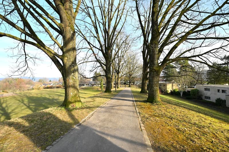 Gepflegte 5.5-Zimmer-Wohnung mit Fernsicht im Baurecht auf dem Bruderholz (20)