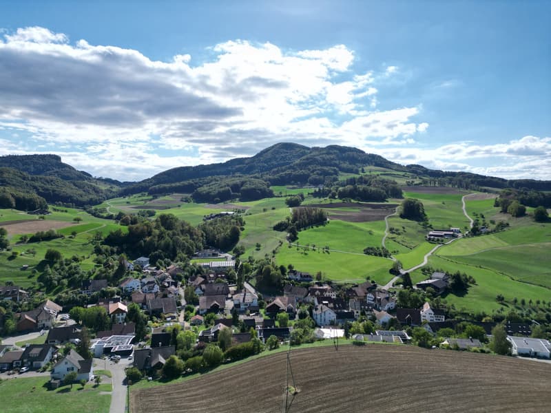 Baulandparzelle an exklusiver Aussichtslage in Zeglingen BL (6)