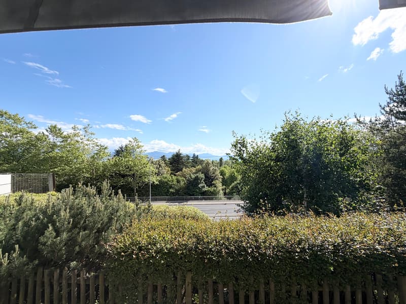 Bel appartement de 3.5 pièces de 100 m2 avec terrasse (7)