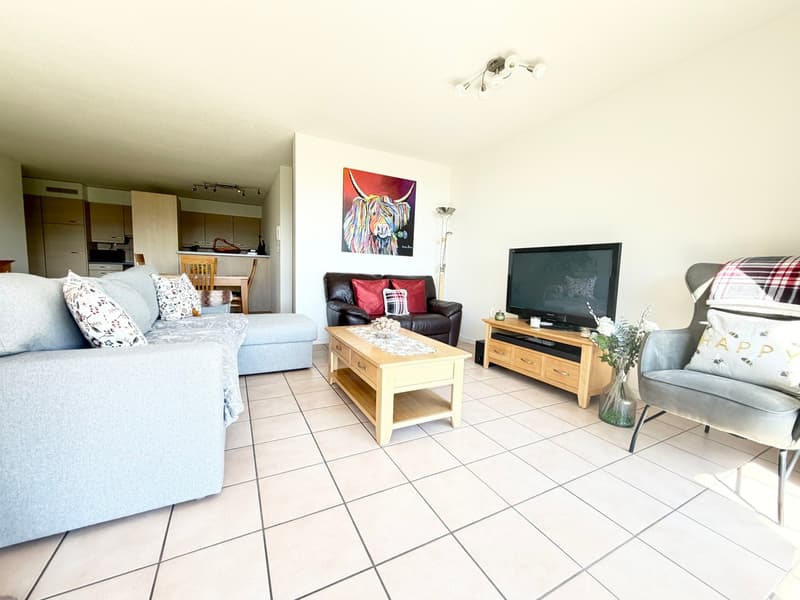 Bel appartement de 3.5 pièces de 100 m2 avec terrasse (2)