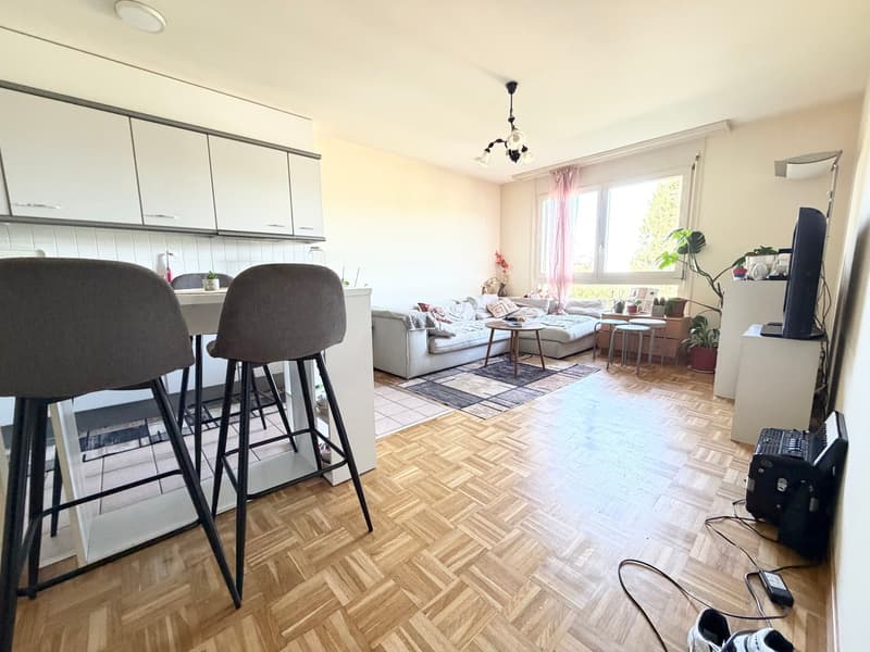 Appartement de 2.5 pièces de 45 m2 avec vue dégagée (1)