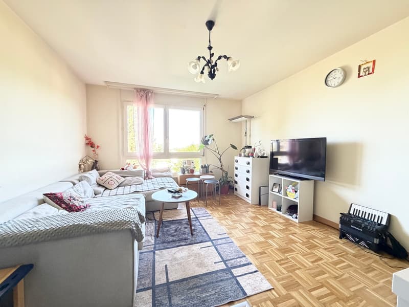 Appartement de 2.5 pièces de 45 m2 avec vue dégagée (2)