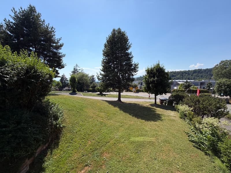 Spacieux appartement de 3.5 pièces de 95 m2 (8)