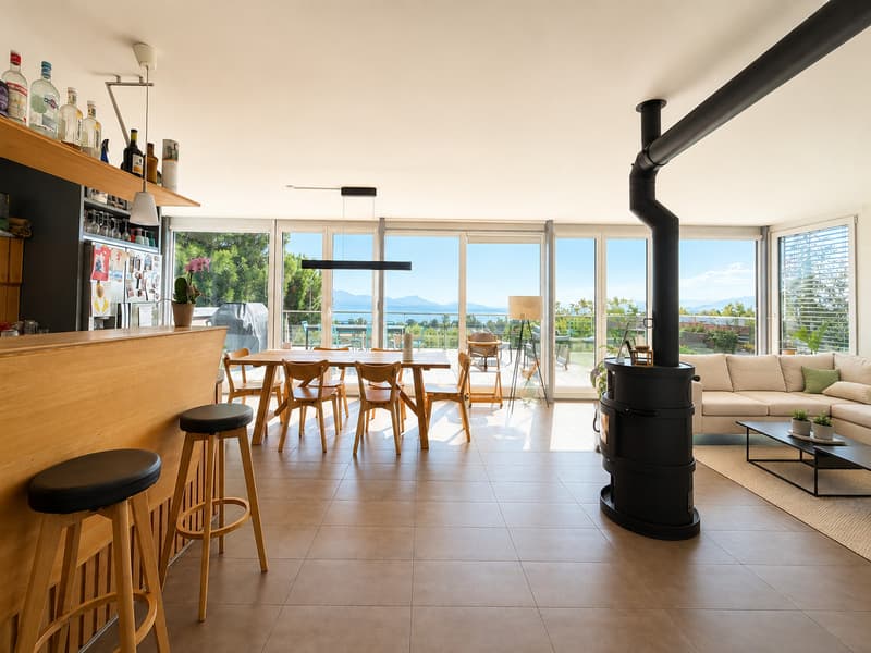 Magnifique attique avec terrasse de 5.5 pièces d'environ 175 m2 (2)