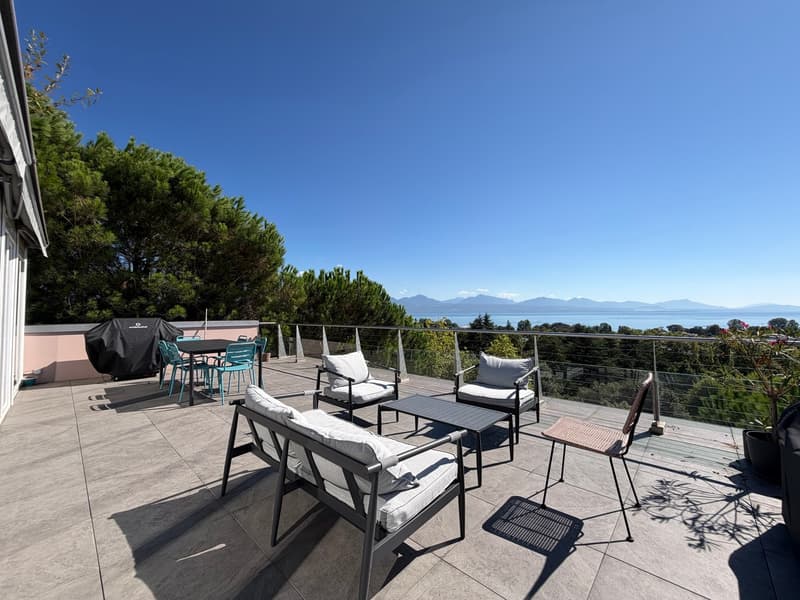 Magnifique attique avec terrasse de 5.5 pièces d'environ 175 m2 (1)