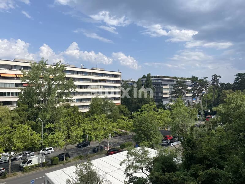 Magnifique appartement 3 pièces en CASATAX! (3)