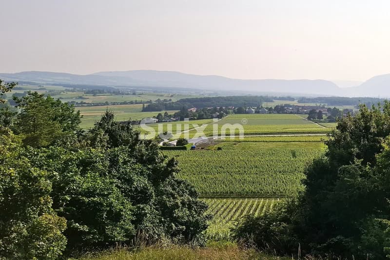 Propriété villageoise aux volumes insoupçonnés (1)