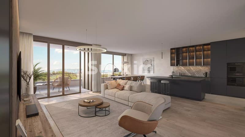 Sublimes villas de haut standing avec vue sur le Rhône (2)