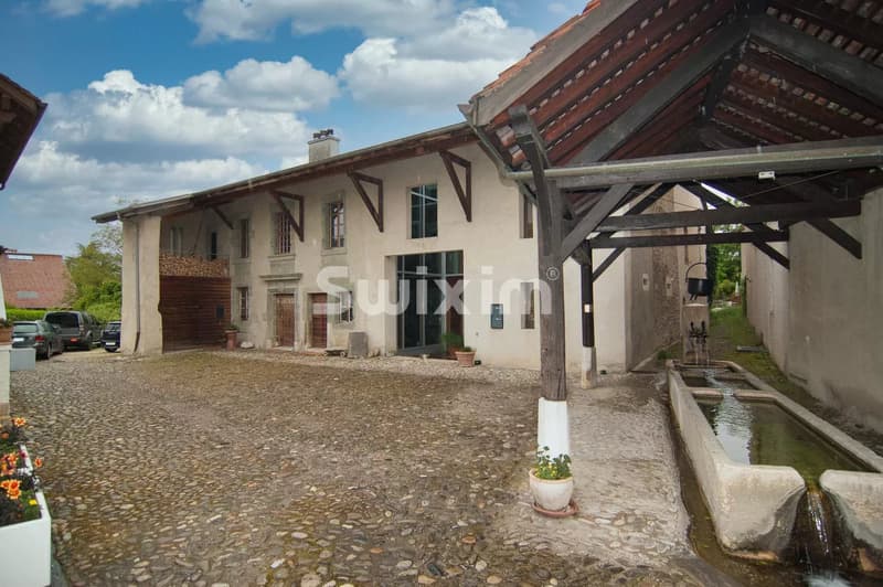 Au coeur du village maison historique (4)