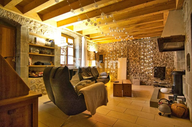 Au coeur du village maison historique (7)