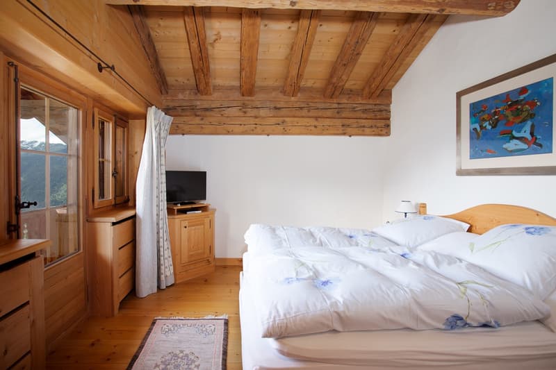 Luxueux chalet et son mazot indépendant (5)