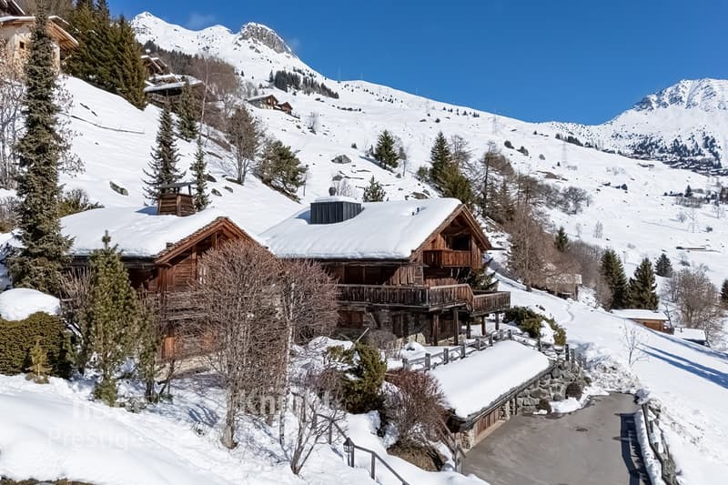Luxueux chalet et son mazot indépendant (6)