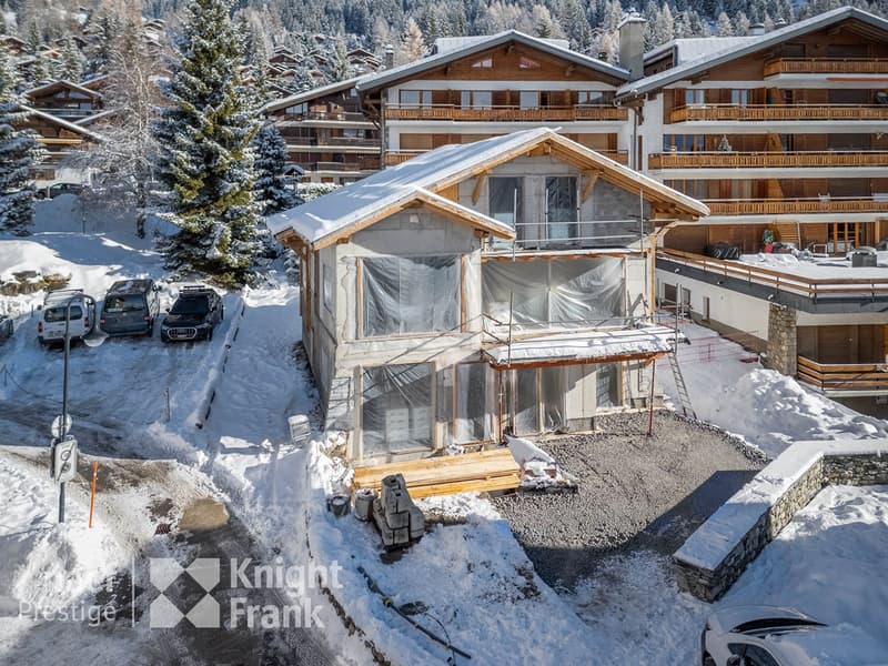 Chalet entièrement rénové, emplacement unique (2)