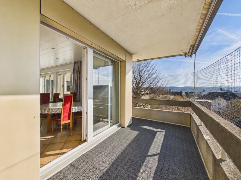 Exklusive Dachgartenwohnung an begehrter Wohnlage in Solothurn (8)