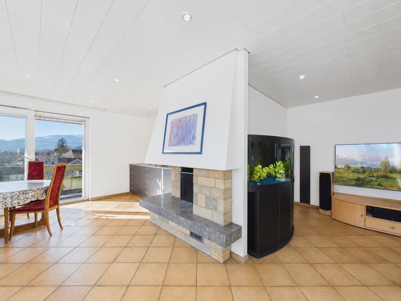 Exklusive Dachgartenwohnung an begehrter Wohnlage in Solothurn (6)
