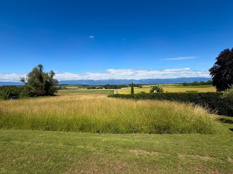 EXCLUSIVITE - Magnifique maison de village rénovée - Jussy (13)