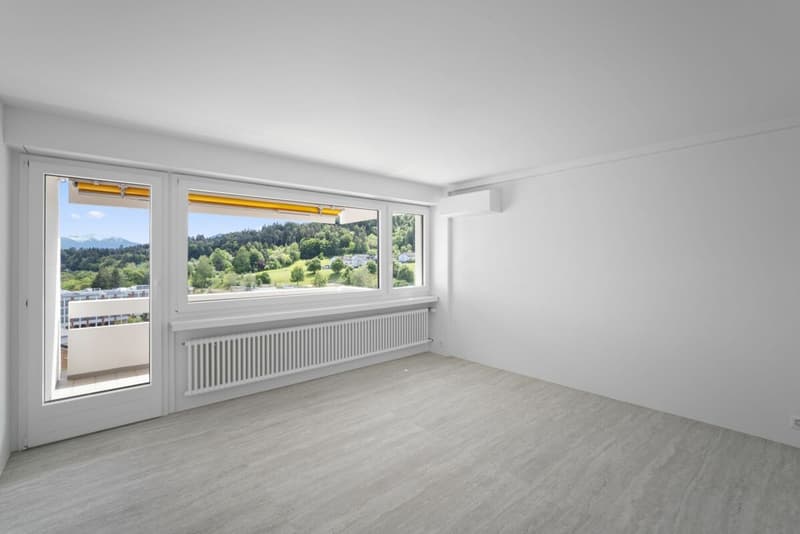 5.5 Zimmer Penthousewohnung mit atemberaubender Berg- und Seesicht (11)