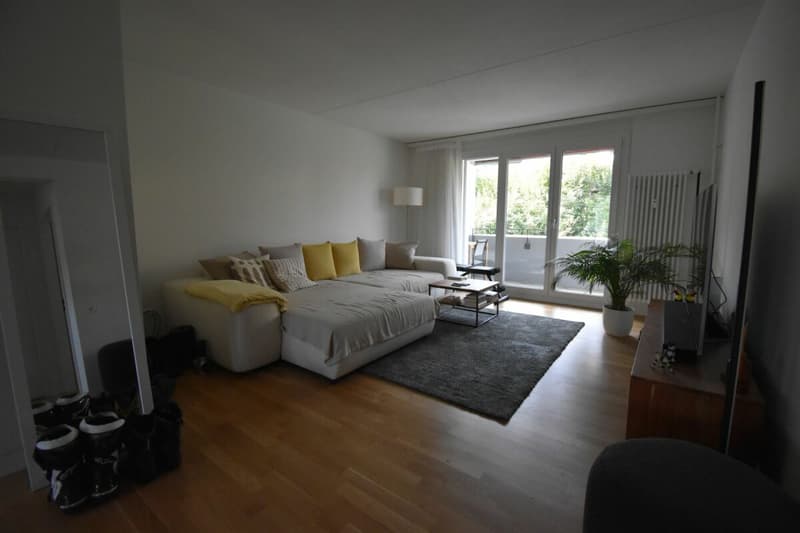 NACHMIETER FÜR 3,5 ZIMMER WOHNUNG GESUCHT (3)