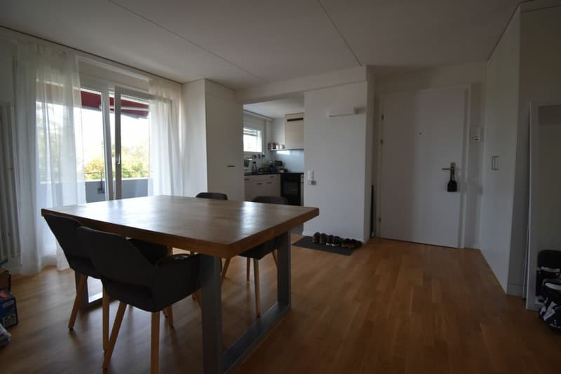 NACHMIETER FÜR 3,5 ZIMMER WOHNUNG GESUCHT (7)