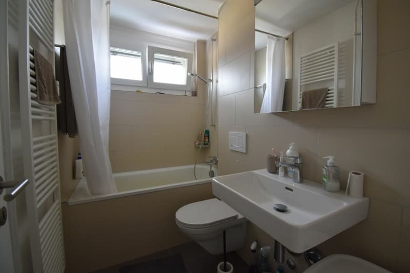 NACHMIETER FÜR 3,5 ZIMMER WOHNUNG GESUCHT (10)