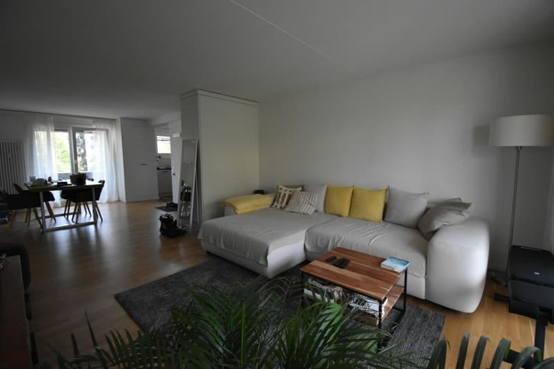 NACHMIETER FÜR 3,5 ZIMMER WOHNUNG GESUCHT (4)