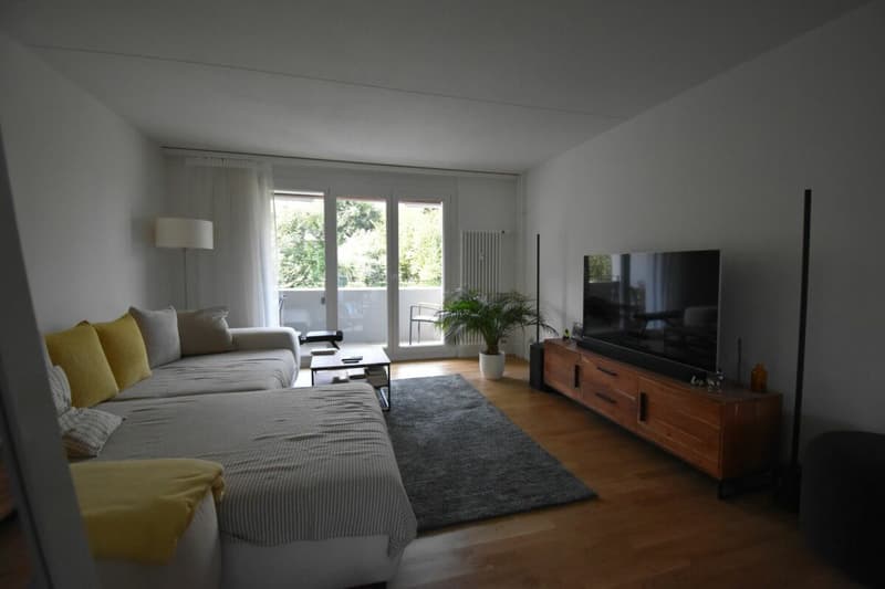 NACHMIETER FÜR 3,5 ZIMMER WOHNUNG GESUCHT (2)