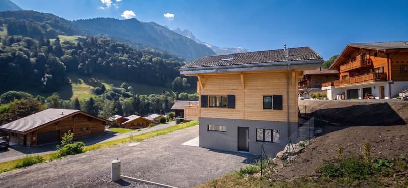 Appartement 3.5 - lot REZ (finitions au gré du preneur) (4)